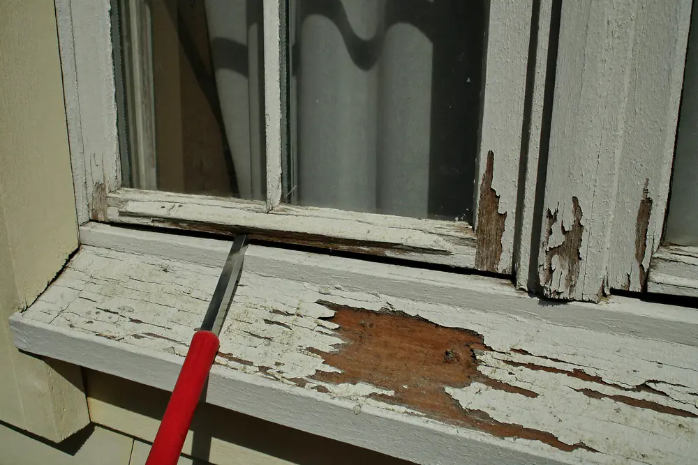 Afbladderende verf en aangetast hout onderaan een houten raamkozijn met een priem erin